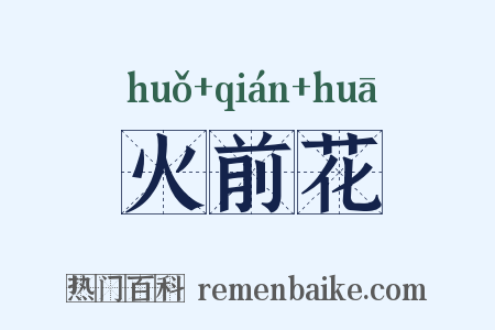 火前花是什么意思的图片